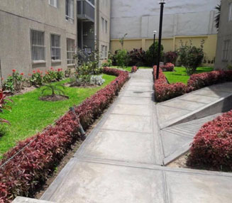jardineria2